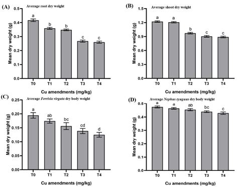 Transfer of Copper (Cu) in the Soil–Plant–Mealybug–Ladybird Beetle Food ...