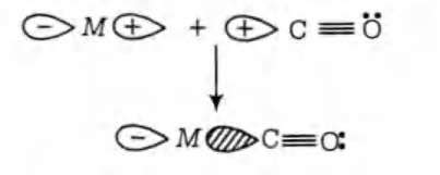 Which of the following ligands is expected to be bidentate?