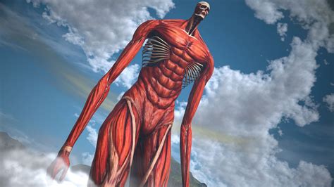 Colossal Titan Wallpapers - Wallpaper Cave