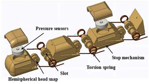 Structural and Experimental Study of a Multi-Finger Synergistic ...