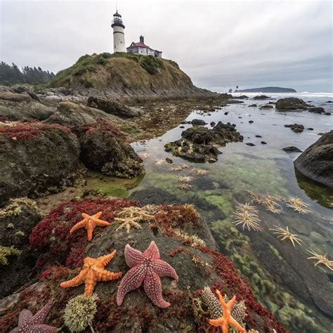 Crescent City's Hidden Treasure Trove: 17 Mind-Blowing Free Adventures ...