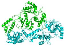Image result for Transcriptase Inverse Function