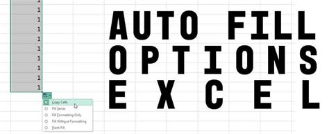 Image result for Auto Fill Options Excel