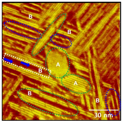 Formation and Structure of Highly Ordered Self-Assembled Monolayers on ...