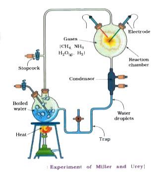 Explain the process of origin of life as given by different scientists.