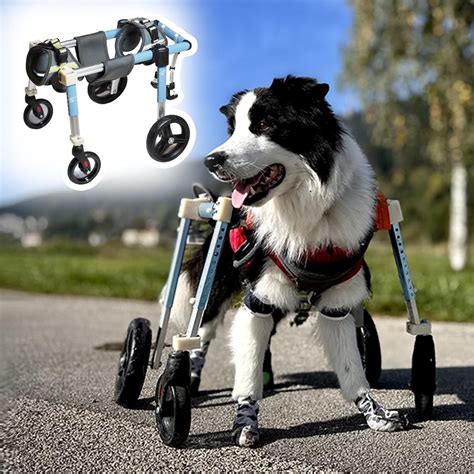Amazon.com: 4 Wheels Dog Wheel Chair Pet Mobility Aid, XS/S/M/L/XL/XXL ...