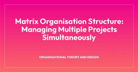 Image result for Project Structure Matrix Explained