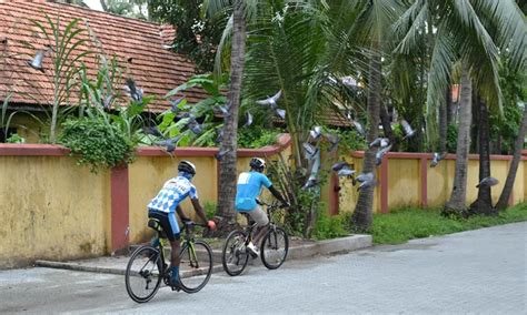 5 Beginner-Friendly Cycling Routes in the Kerala Backwaters