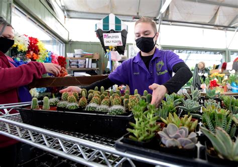 Photos: The Flower Bin in Longmont Celebrates 50-Years – Longmont Times ...