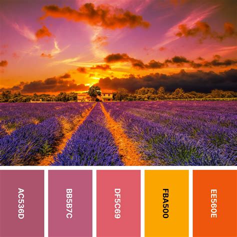 31 Sunset Color Palettes for Captivating Designs | Color Meanings
