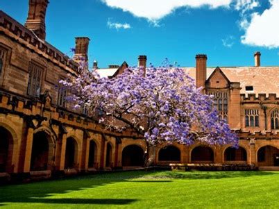 悉尼大学 (University of Sydney) - 知乎
