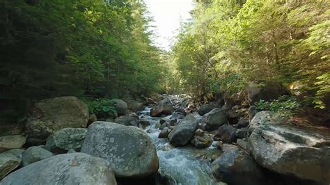 Image result for Program Starts Soon