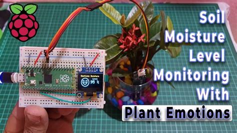Image result for Outdoor Lighting Projects Using Raspberry Pi