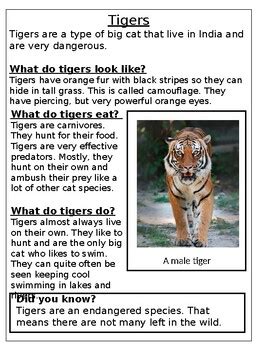 Image result for Non Chronological Report Examples