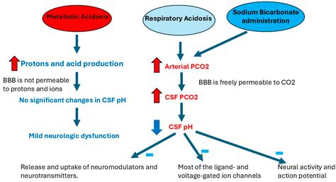 Complexities, Benefits, Risks, and Clinical Implications of Sodium ...
