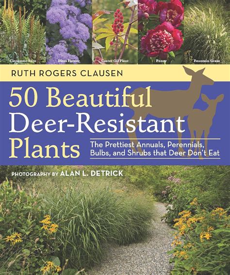 50 Beautiful Deer-Resistant Plants: The Prettiest Annuals, Perennials ...