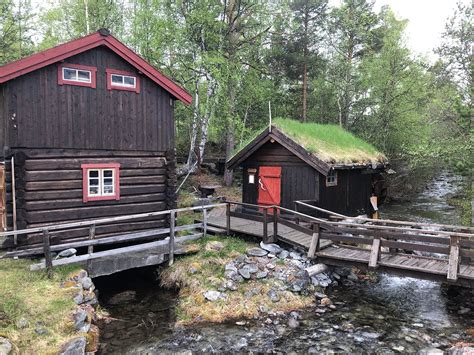 Oppdal Safari - All You Need to Know BEFORE You Go (with Photos)