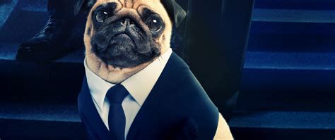 Men in Black International, Frank the Pug, 8K, #19 Wallpaper 4K PC