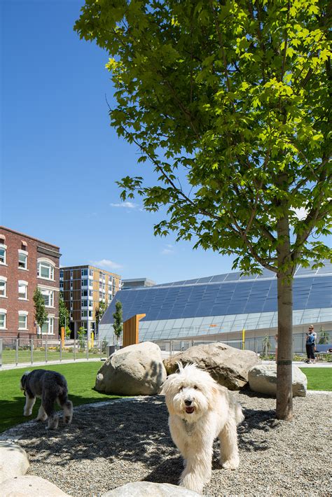 Mara Stokke Graphic Design