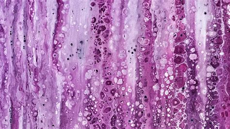 Download wallpaper 1600x900 paint, spots, stains, fluid art, canvas ...