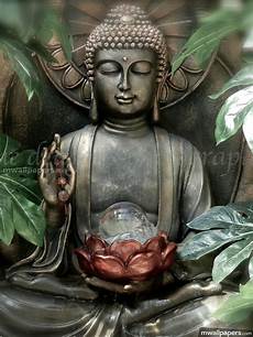 Buddha Images Hd by Buddha Hd Photos Wallpapers 1080p Android Iphone Buddha Images Hd