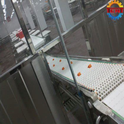 High Quality Conveyor Belt for Meat for Food Processing Machinery in ...