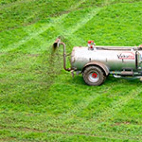 Raw Material Categories | RMI