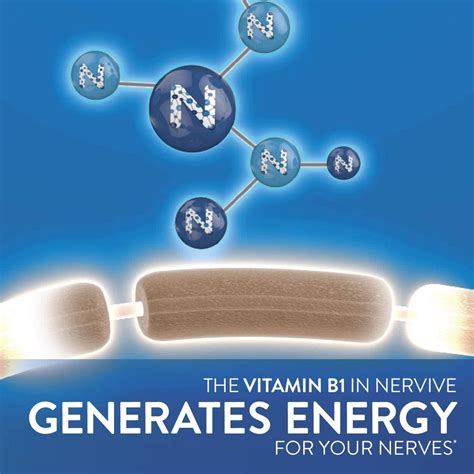 Buy Nervive, Nerve Health Nerve Alpha Lipoic Acid, ALA, B12, Healthy ...