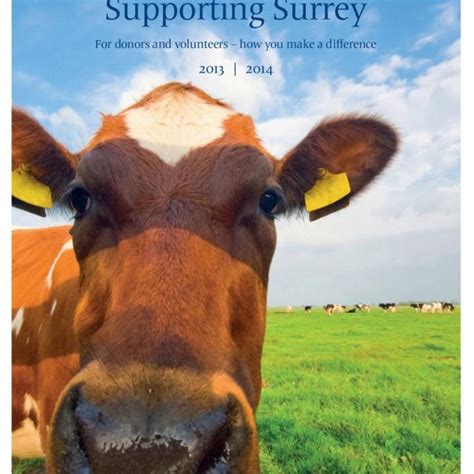 Website Design | Website Development Company - Hostbreak