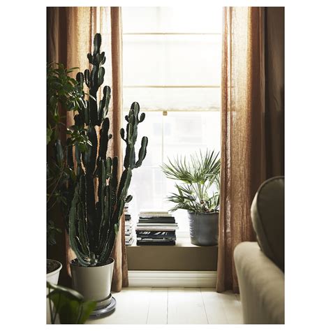 RINGBLOMMA Roman blind, beige, 80x160 cm (31 ½x63") - IKEA