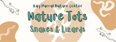 Nature Tots - Snakes and Lizards, Ray Harral Nature Park, Broken Arrow ...