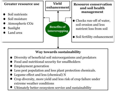 Intercropping—A Low Input Agricultural Strategy for Food and ...