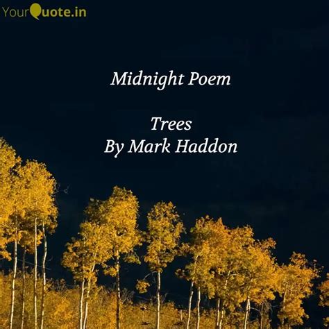 Midnight Poem Trees By M... | Quotes & Writings by YourQuote Baba ...