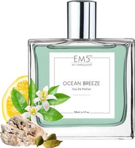 Buy Em5 Ocean Breeze Perfume for Men | Fruity Citrus Fresh Warm Spicy ...