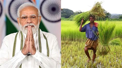 Update: PM Kisan Nidhi scheme farmers will not get the benefit of the ...