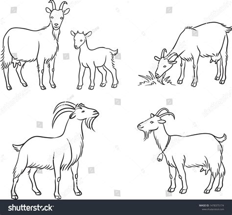 Goat Drawing Outline