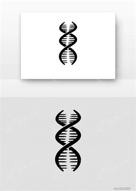 Dna双螺旋 的图像结果