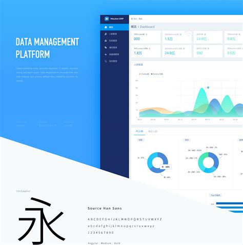 Data Management Platform 的图像结果