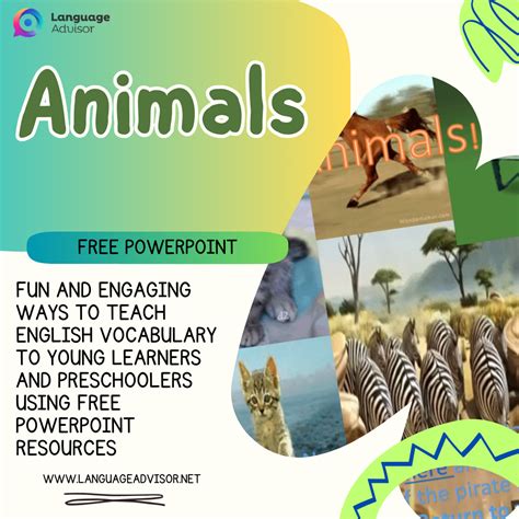 Image result for Language Master Animals