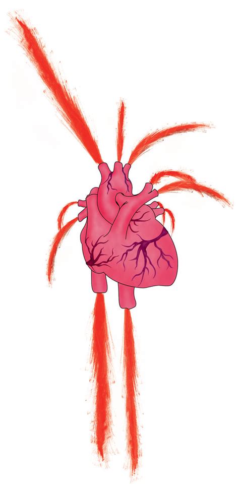 Image result for Aesthetic Exploding Heart