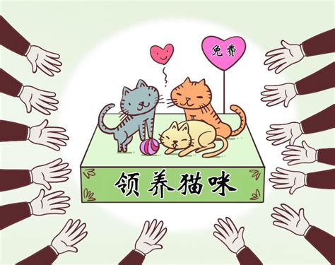 揭秘“后院猫”生意经：宠物医疗市场“作坊”太多，“免费领养”骗局丛生-服务中心-新中付官网|中POS|中付pos机办理|专业办理银联刷卡机-新 ...