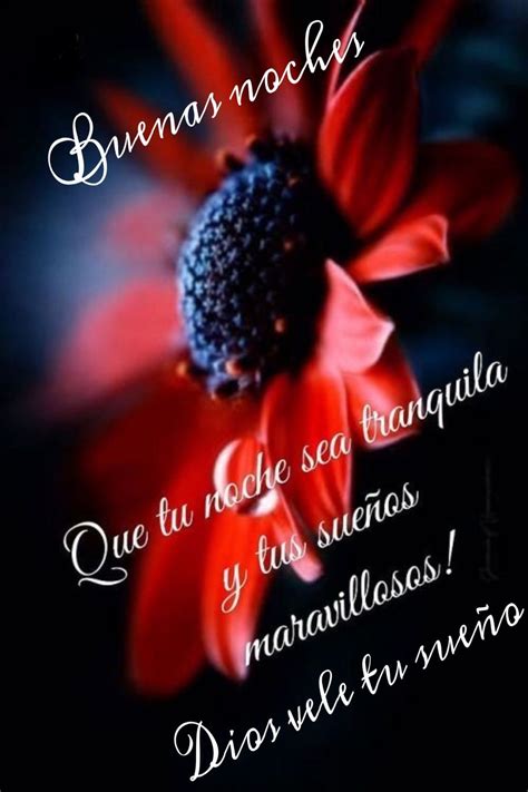 Buenas Noches - Goodnight in Spanish