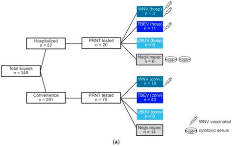 Viruses | September 2021 - Browse Articles