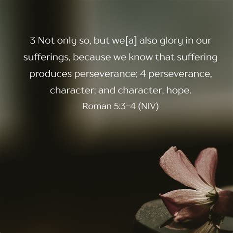 Romans 5:3-4 NIV - Yong Chang's Texas Home