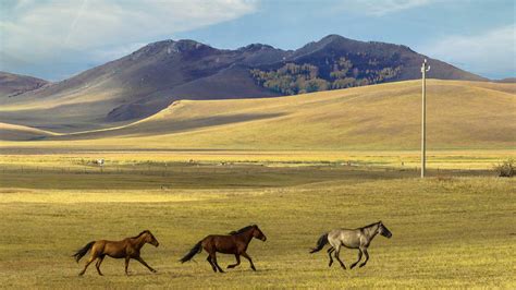 The best time to visit Kazakhstan - Lonely Planet