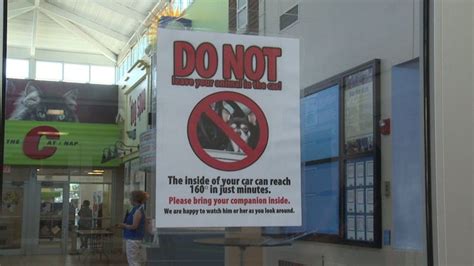 "It's our responsibility:" In WI, you can break into a vehicle to ...