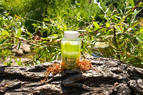 Cordyceps Mushrooms: A Natural Alternative to Energy Drinks – Troomy Nootropics