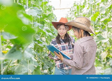 Assistant Agriculture Officer