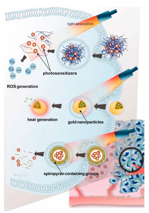 Key Points in Remote-Controlled Drug Delivery: From the Carrier Design ...