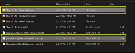 Image result for How to Install Slice of Life Mod